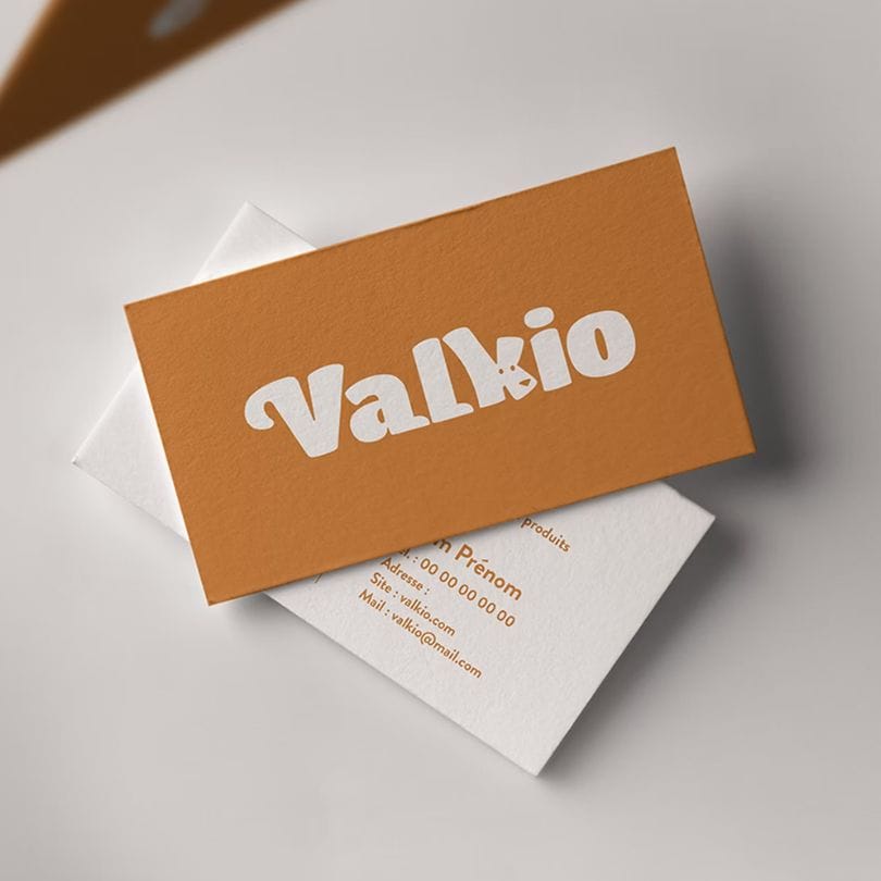carte-de-visite-valkio