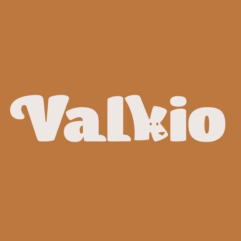 logo-valkio